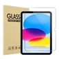 iPad Screen Protector